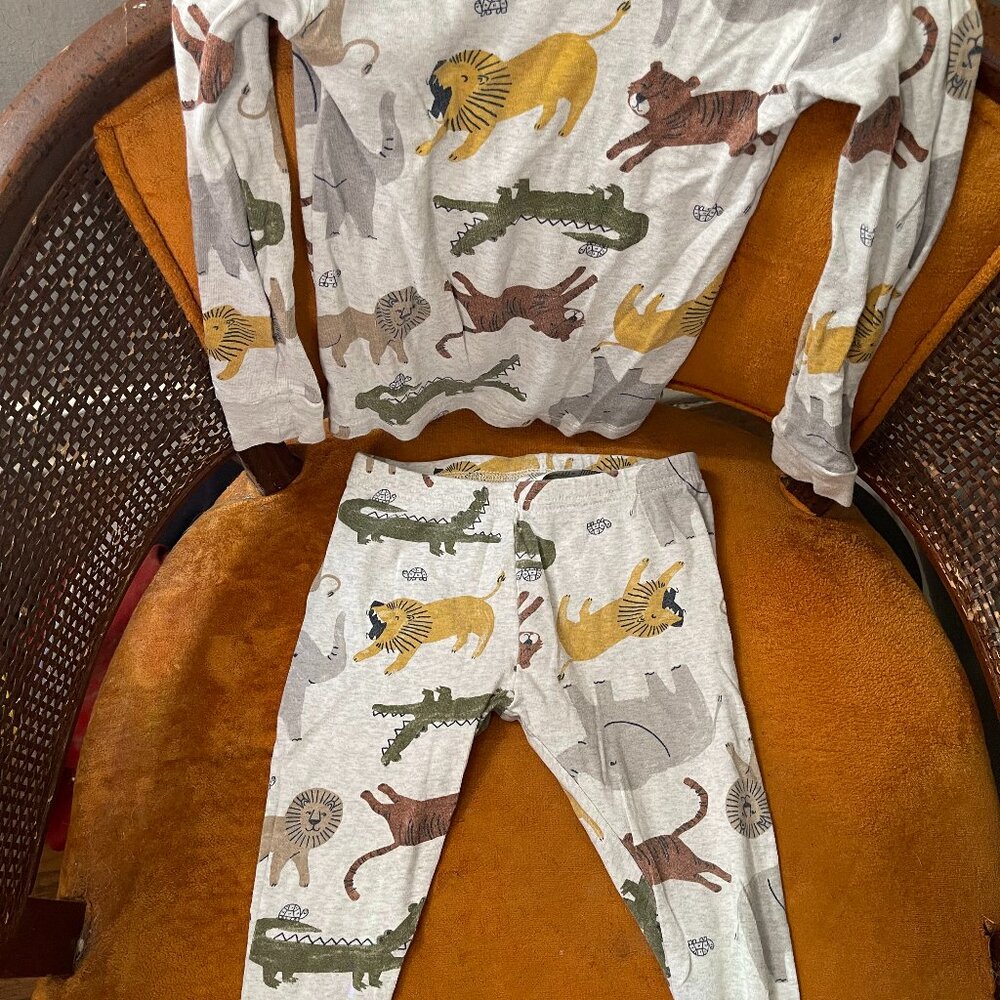boys two-piece set